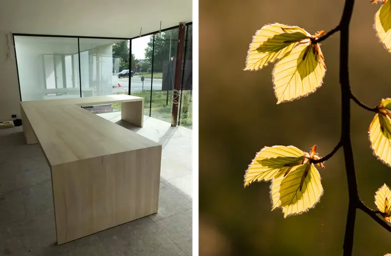 Bureau met beukenblad